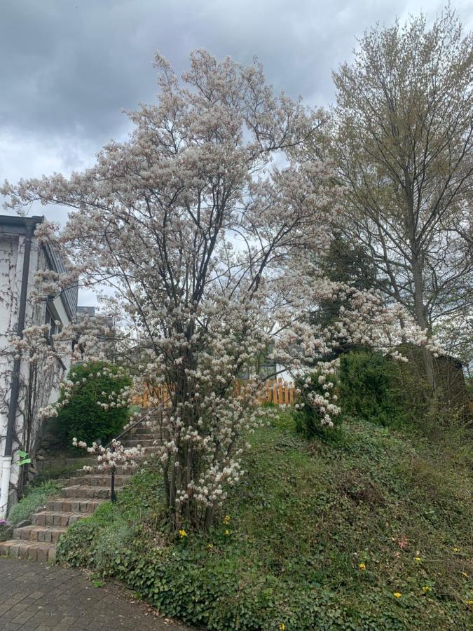 Ferienwohnung Emma オルスベルク エクステリア 写真
